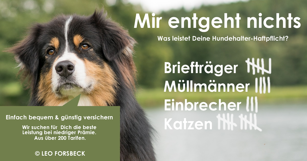 Hundehalterhaftpflicht-Versicherung